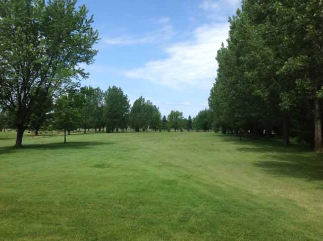 Meadowview Golf Course, Inc. - photo 2