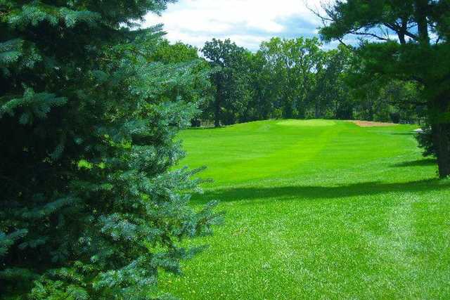 Carriage Greens Country Club - photo 4