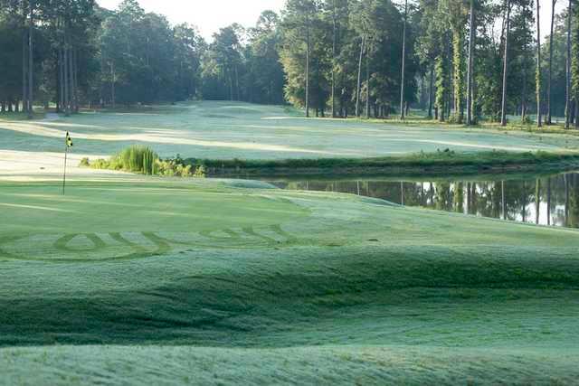 Lake Blackshear Resort and Golf Club - photo 3