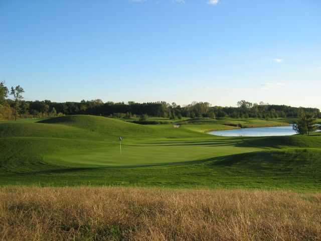 White Pines - photo 4