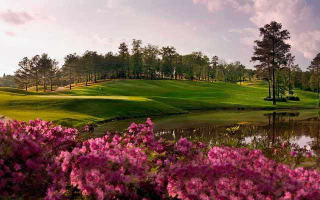 The Robert Trent Jones Golf Trail at Ross Bridge - photo 1