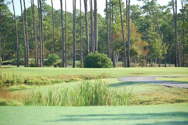 Orange Beach - photo 2
