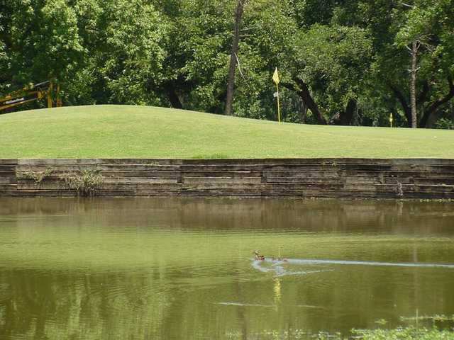Lake Arlington Golf Course - photo 6