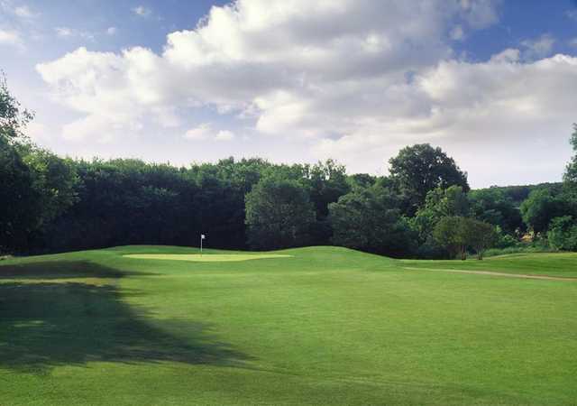 Lake Arlington Golf Course - photo 3