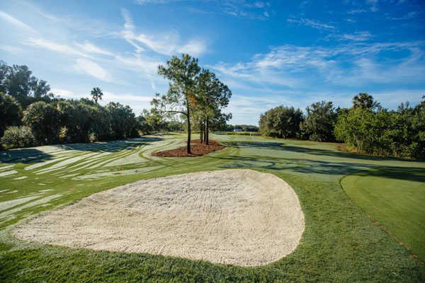 Twin Brooks Golf Course - photo 3