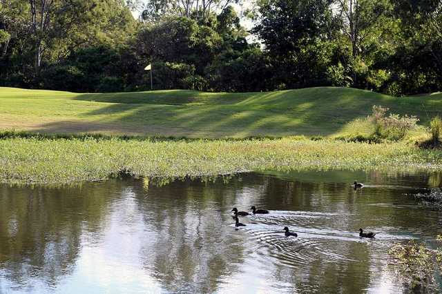 Virginia Golf Club - photo 6