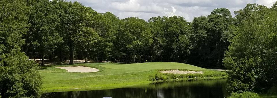 Atlantis Golf Course - photo 5