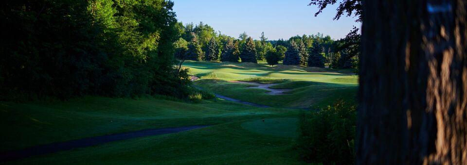 Lionhead Golf Club - Masters Course - photo 3