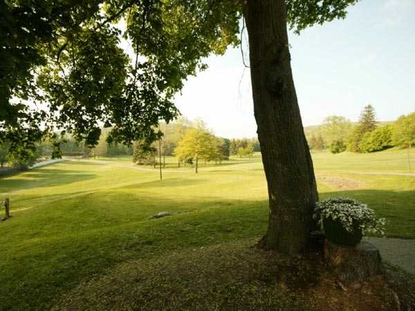 Hornell Golf Club - photo 1