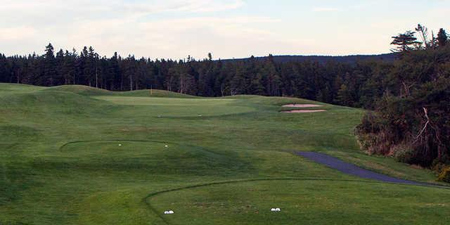 Clovelly Golf Club - Black Duck - photo 3