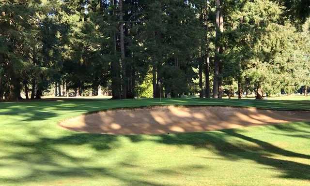 Lake Spanaway Golf Course - photo 3