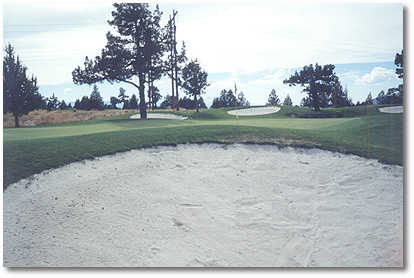 The Greens at Redmond Golf Course - photo 8
