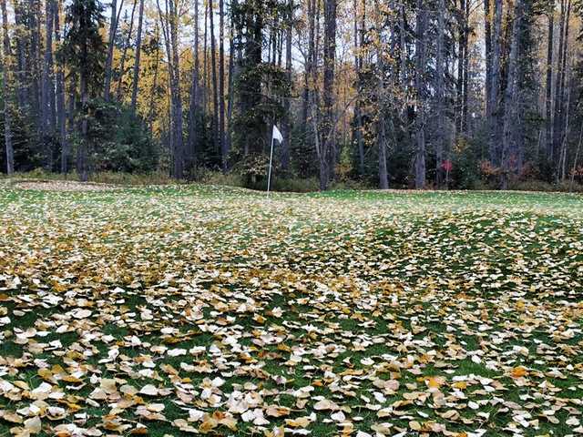 Edson Golf & CC - photo 3
