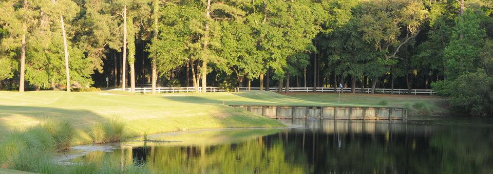 Palmetto Hall Plantation Club - Robert Cupp Course - photo 7