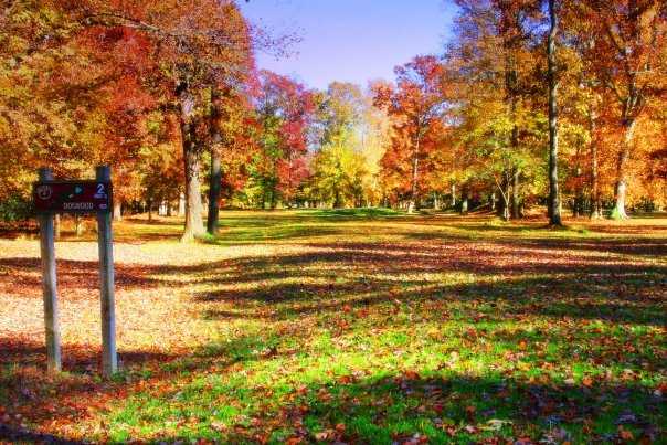Pine Shore Golf Course - photo 5