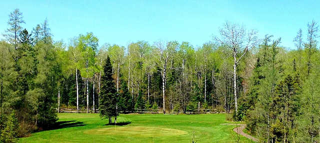 Tahoe Lynx Golf Course - photo 2