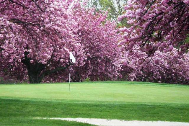 Mountain View Golf Course