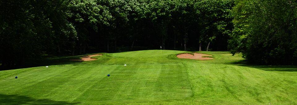 Stonehenge Golf Club - photo 6
