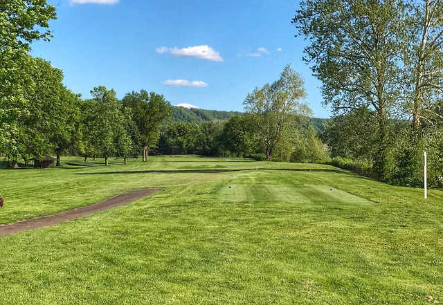 Moundsville Country Club - photo 3