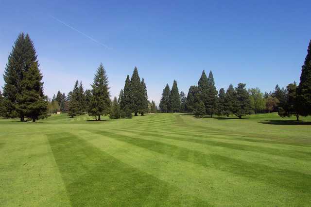 Forest Hills Golf Course - photo 2