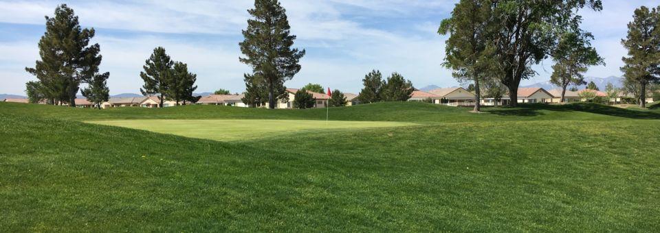 Ashwood Golf Course - photo 4