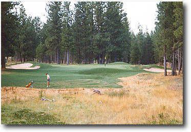 Widgi Creek Golf Club - photo 7