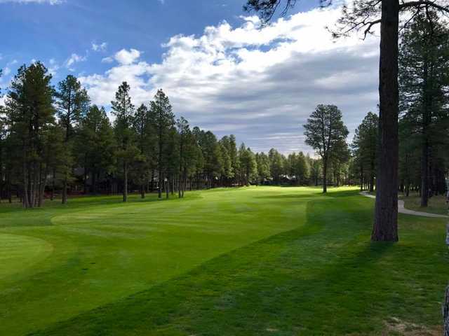 Forest Highlands Golf Club - photo 2