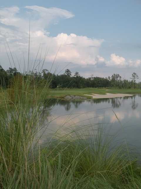 Cape Fear National At Brunswick Forest - photo 2