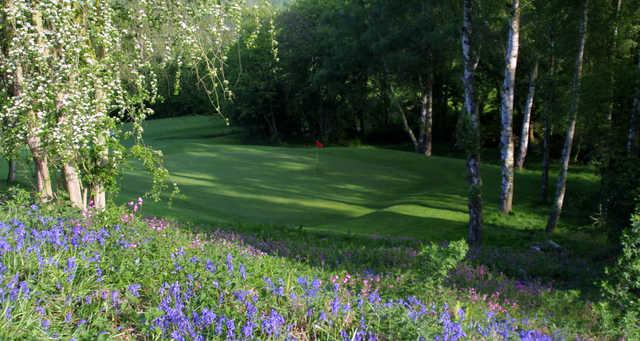 Grove Golf Centre - photo 5