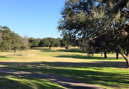 Beeville Country Club - photo 3