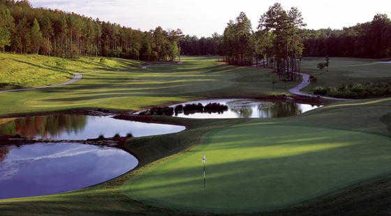 Bear's Best Atlanta - photo 4