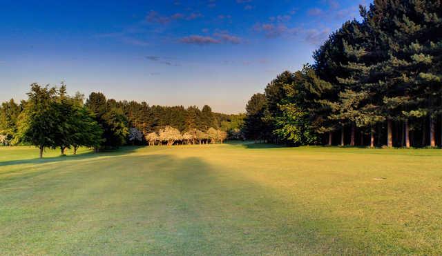 The Millbrook Golf Club - photo 2