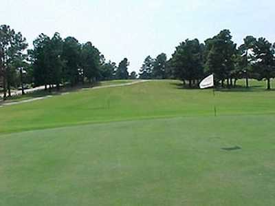 Orgill Golf Course - photo 4
