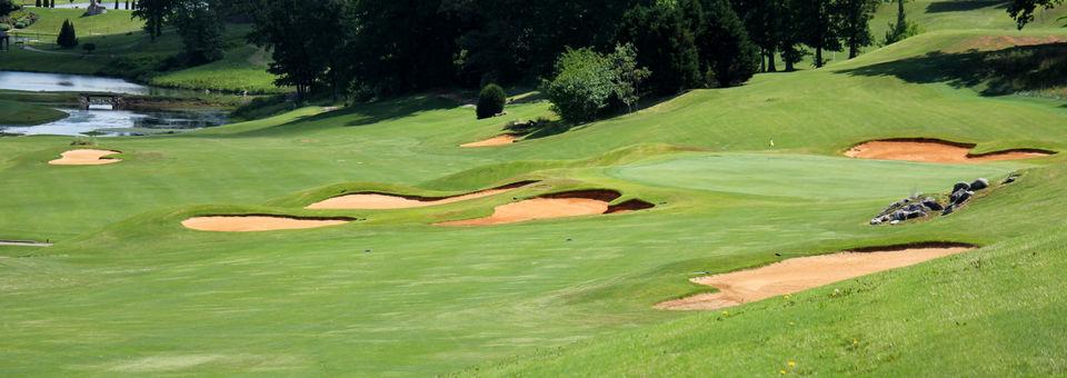 Avalon Country Club - photo 5
