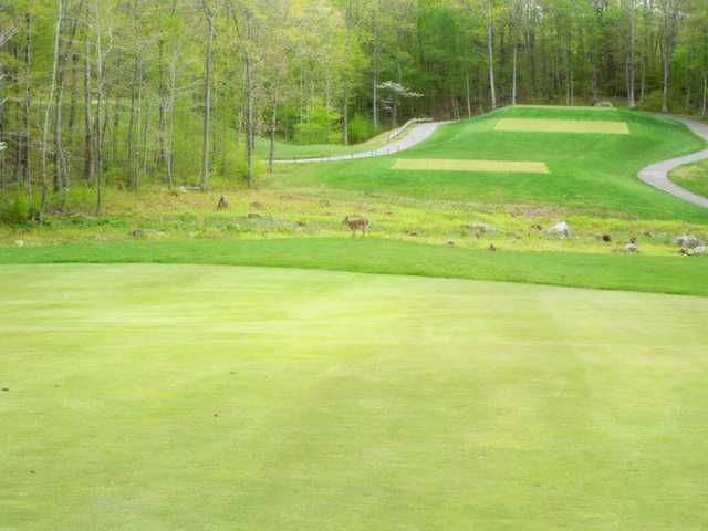 Crestbrook Park Golf Course - photo 2