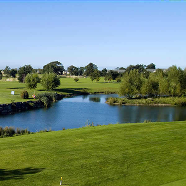 Hollystown - photo 2