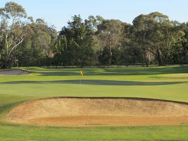 Bendigo Golf Club - photo 7
