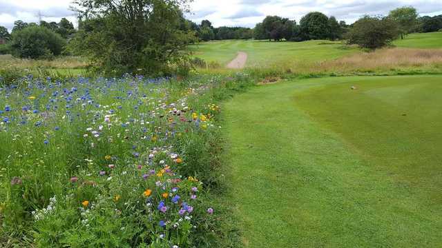 Great Barr Golf Club - photo 2