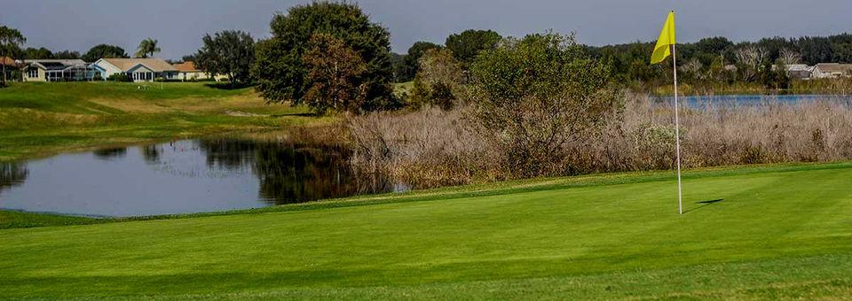 Plantation at Leesburg - Otter Creek - photo 4