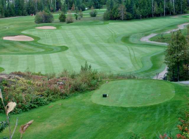 Hollinger Golf Club - photo 3