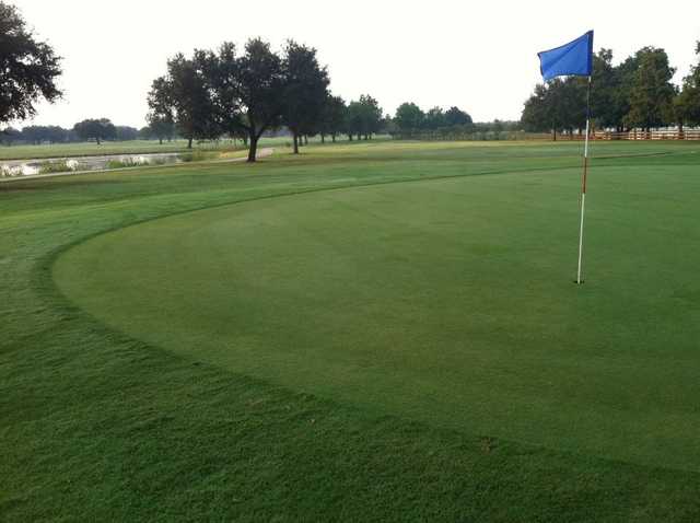 Bayou Oaks at City Park – North Course - photo 2