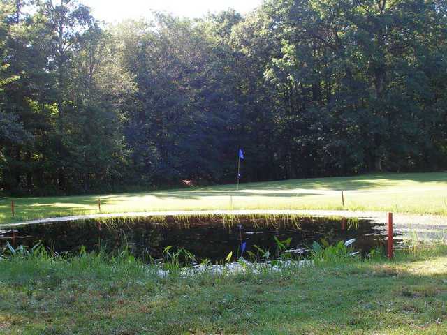 Norwood Acres, Inc. - photo 3