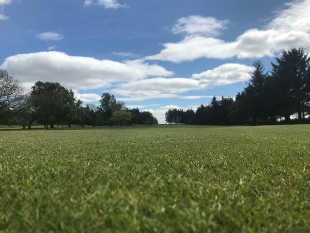 Hamilton Golf Club - photo 2