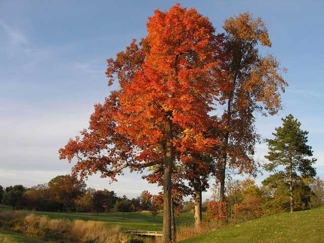 Chevy Chase Club - photo 2