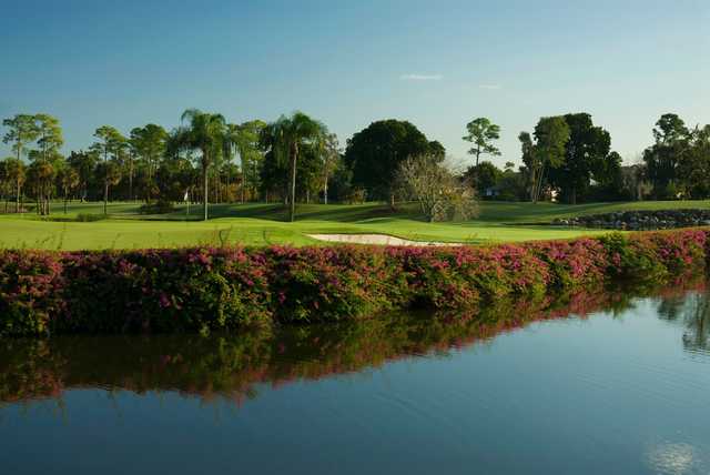 The Forest Country Club - photo 4