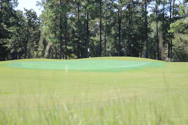 High Meadow Ranch Golf Club - photo 2