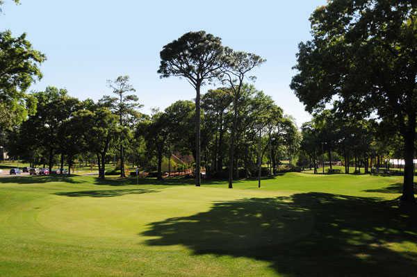 Cane Patch Par-3 Golf Course & Driving Range - photo 2