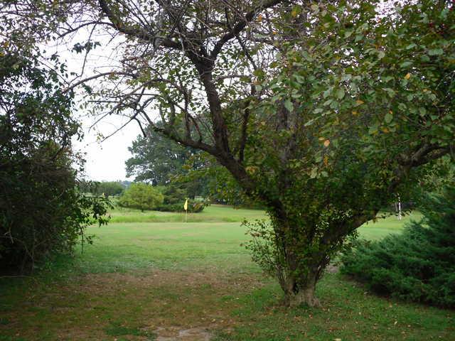 East Fork Par-3 Golf Course - photo 3