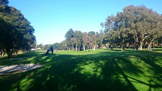 Warringah Golf Club - photo 6