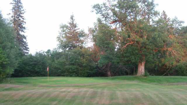 Birch Creek - photo 2